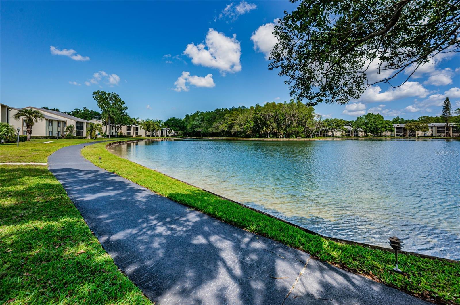 PINE RIDGE AT LAKE TARPON VILLAGE - Residential