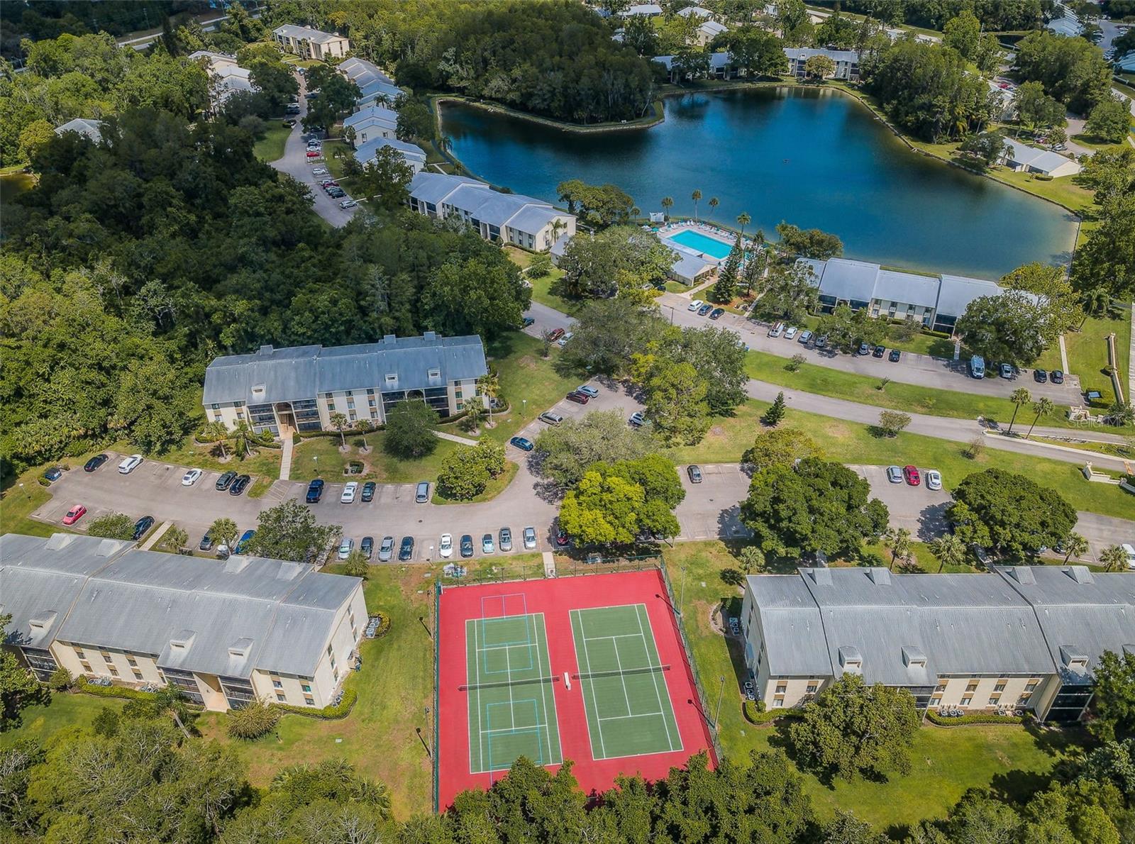 PINE RIDGE AT LAKE TARPON VILLAGE - Residential