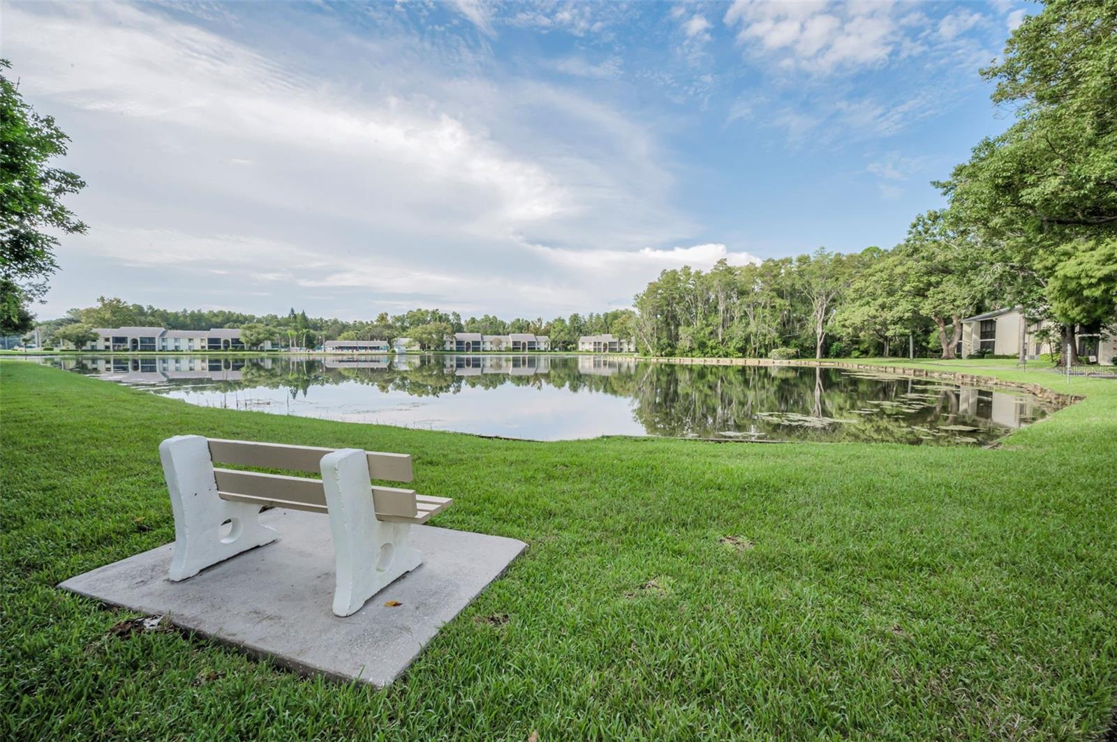 PINE RIDGE AT LAKE TARPON VILLAGE - Residential
