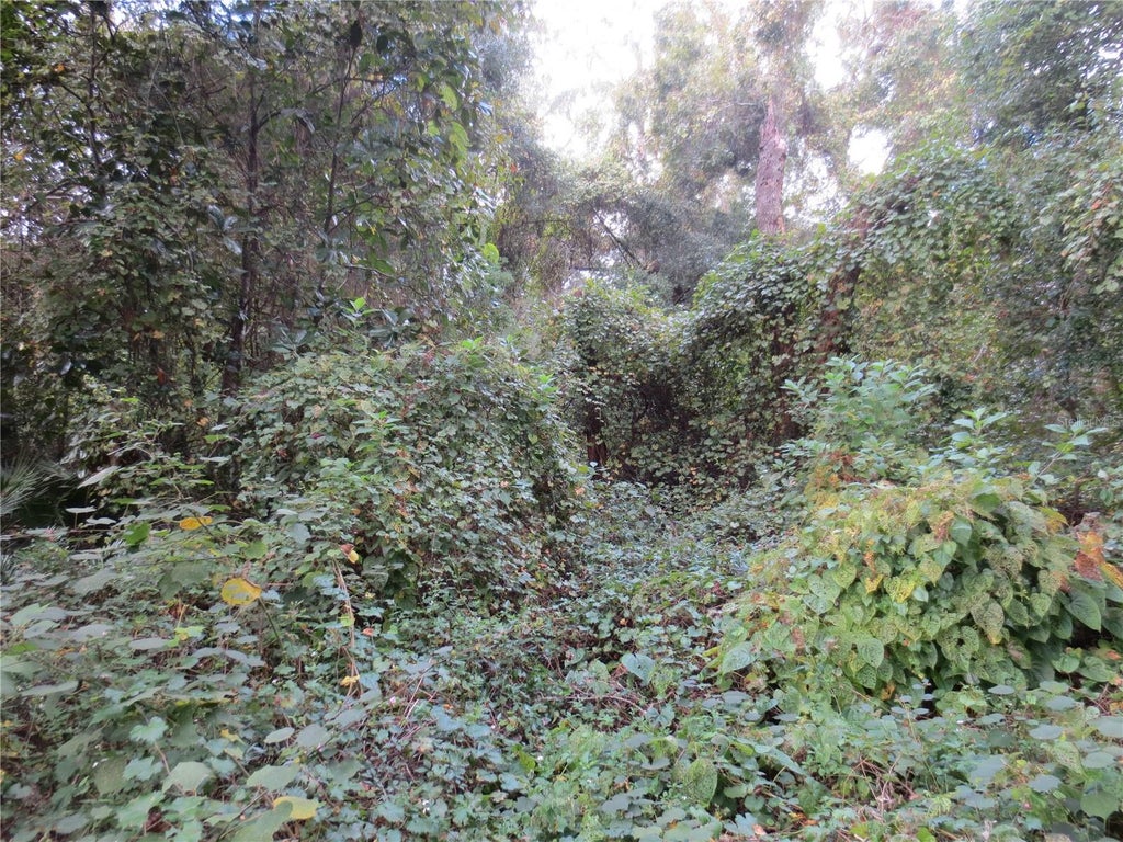 Photo of 0 NE 174th Court, Silver Springs, FL 34488 (MLS # OM732271)