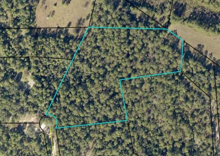 TBD BEAR HEAD ROAD
