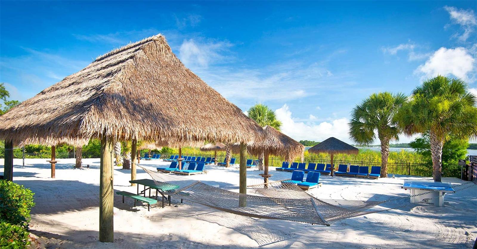 BAHAMA BAY A CONDO - Residential Lease