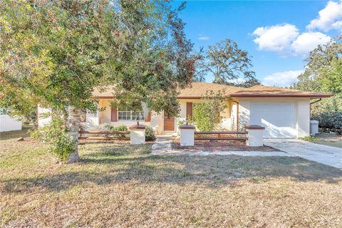 A home in CITRUS SPRINGS