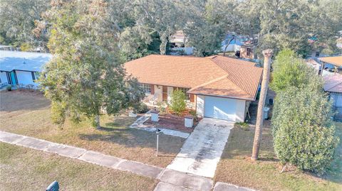 A home in CITRUS SPRINGS