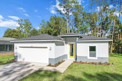 A home in CITRUS SPRINGS