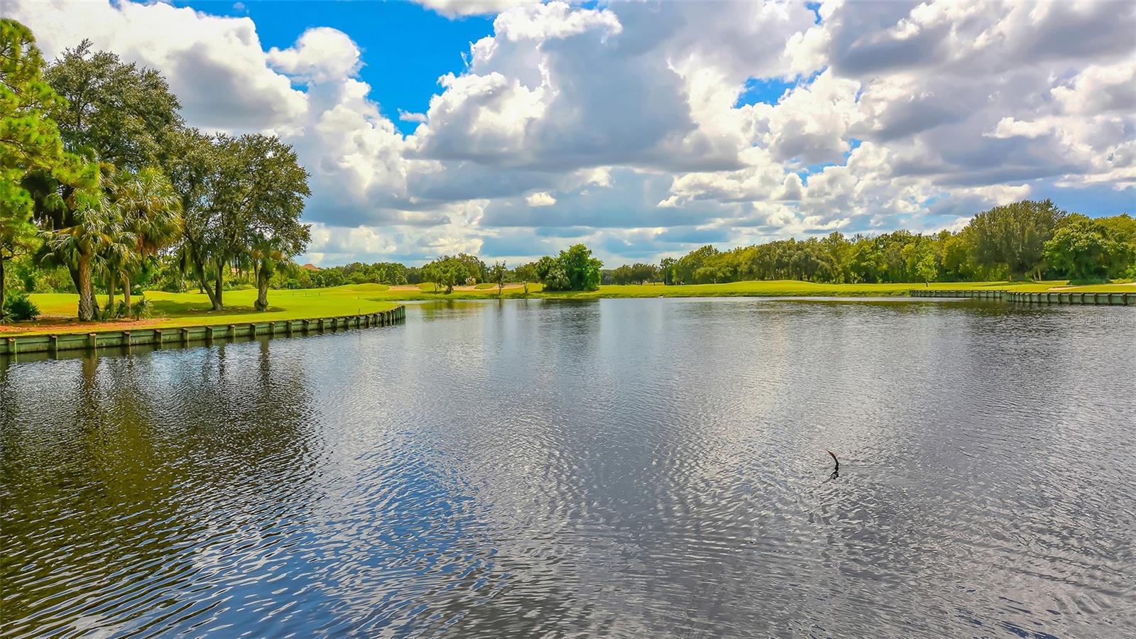 UNIVERSITY PARK - Residential