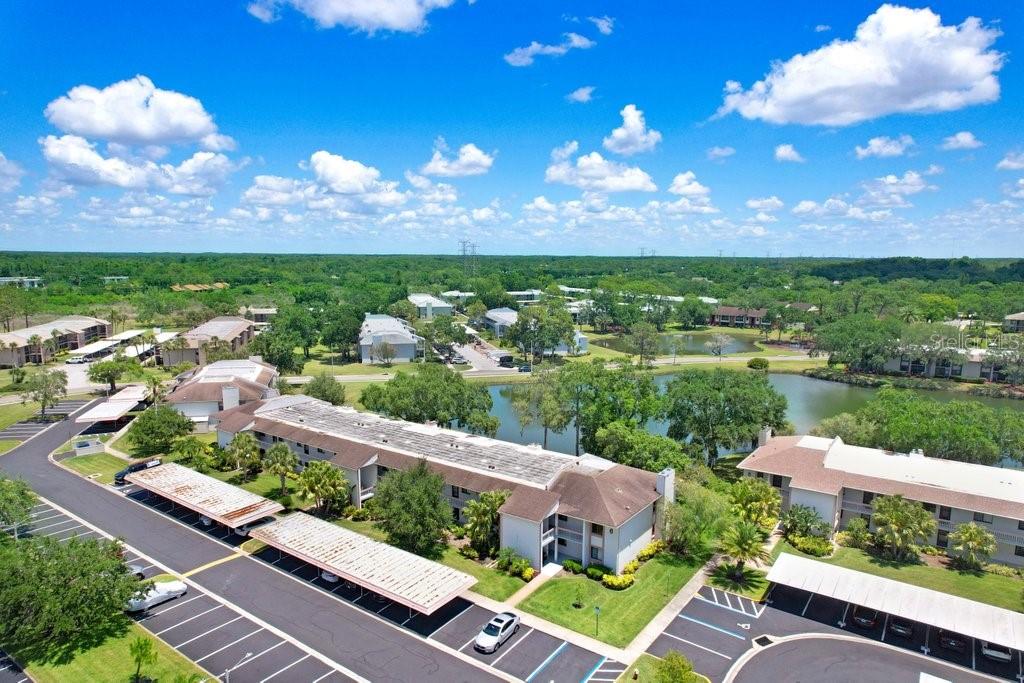 EAST LAKE WOODLANDS CONDO - Residential