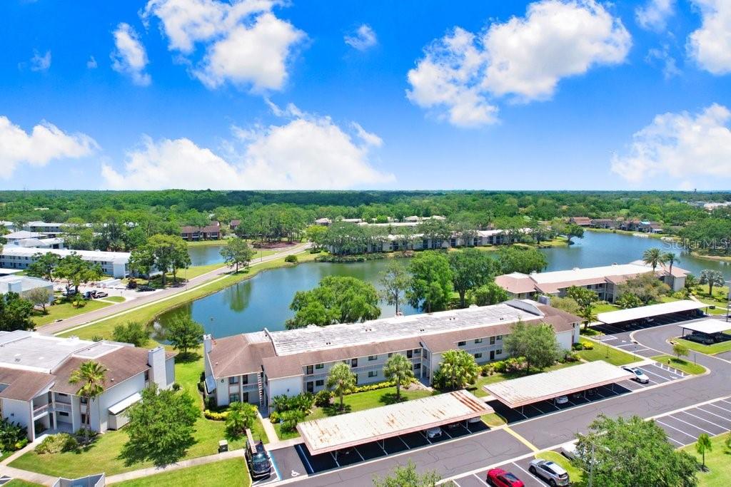 EAST LAKE WOODLANDS CONDO - Residential
