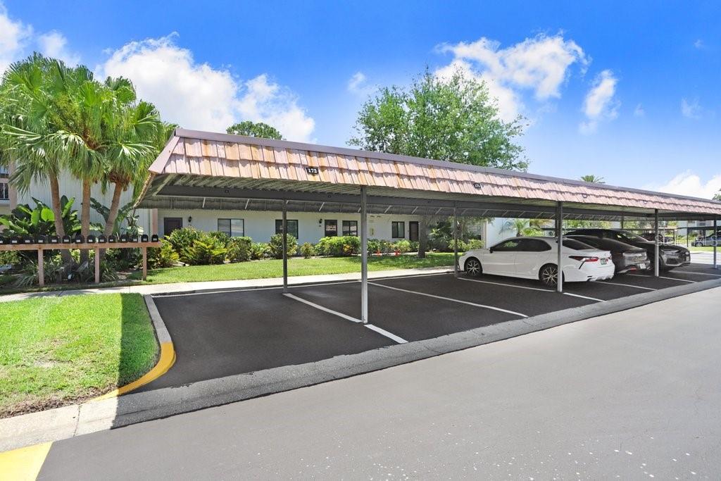 EAST LAKE WOODLANDS CONDO - Residential