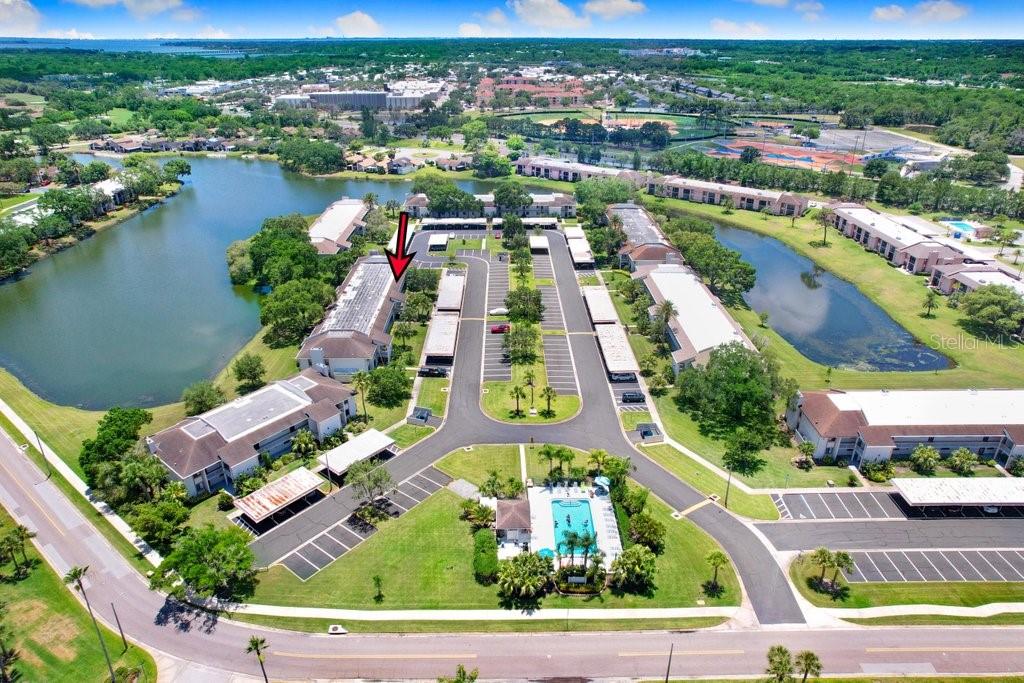 EAST LAKE WOODLANDS CONDO - Residential