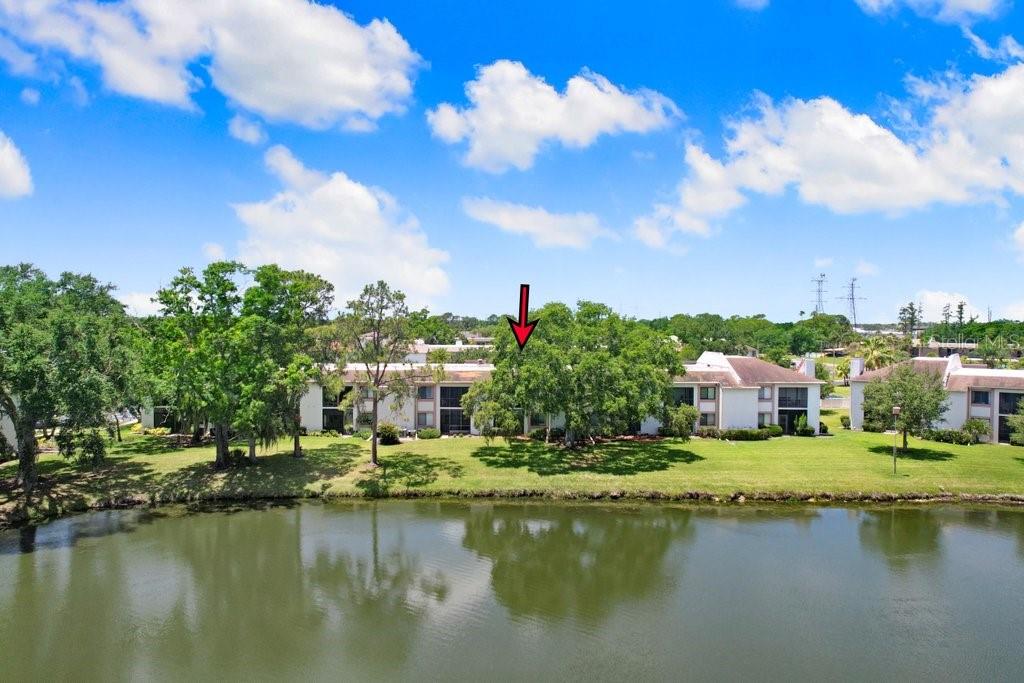EAST LAKE WOODLANDS CONDO - Residential