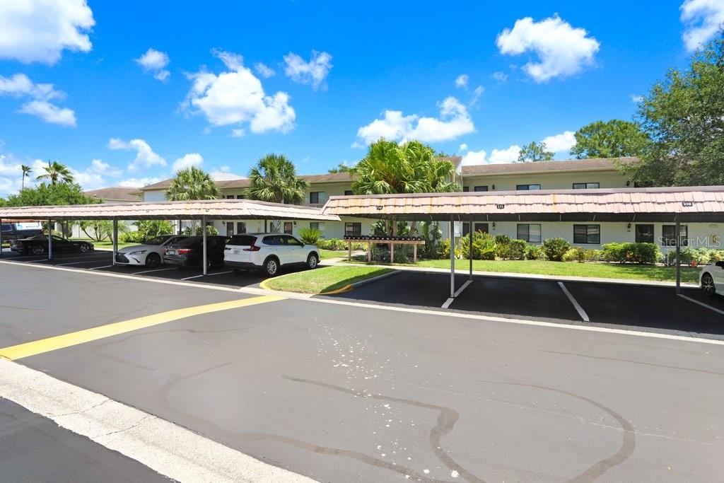 EAST LAKE WOODLANDS CONDO - Residential