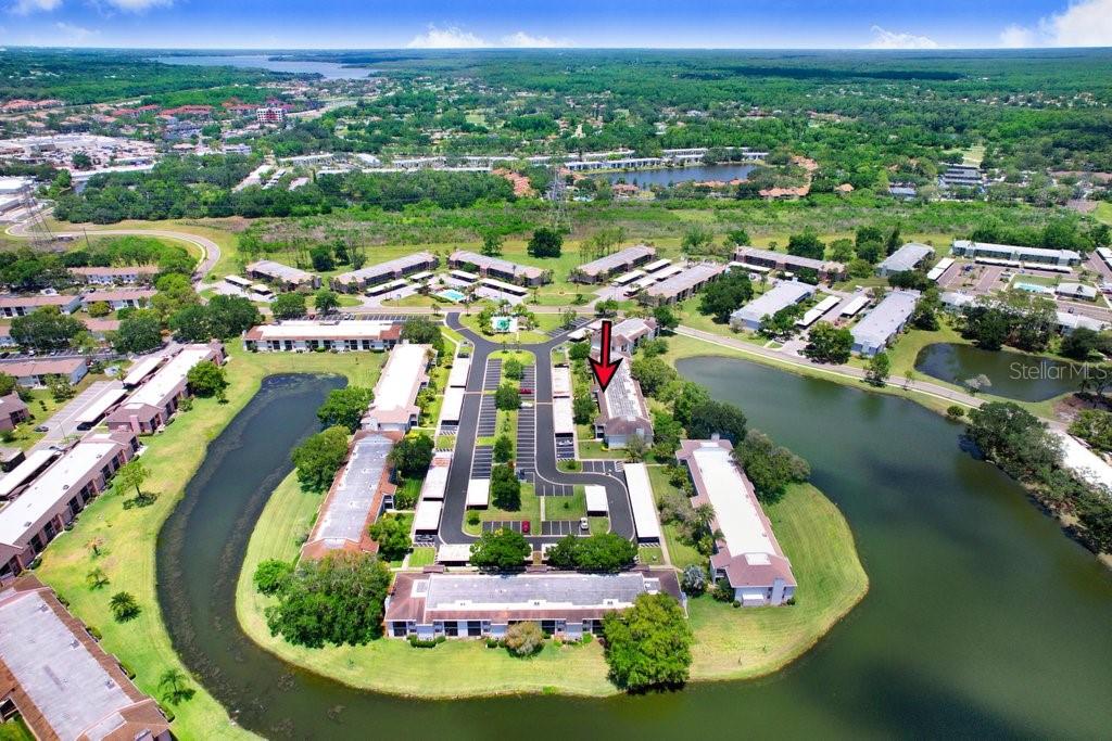 EAST LAKE WOODLANDS CONDO - Residential
