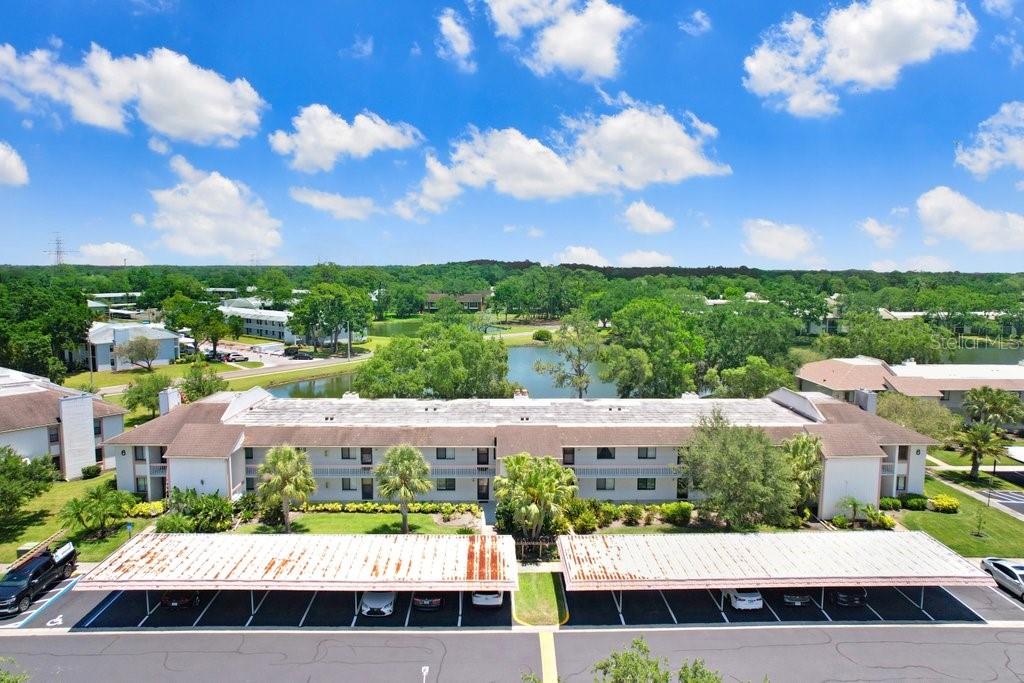 EAST LAKE WOODLANDS CONDO - Residential