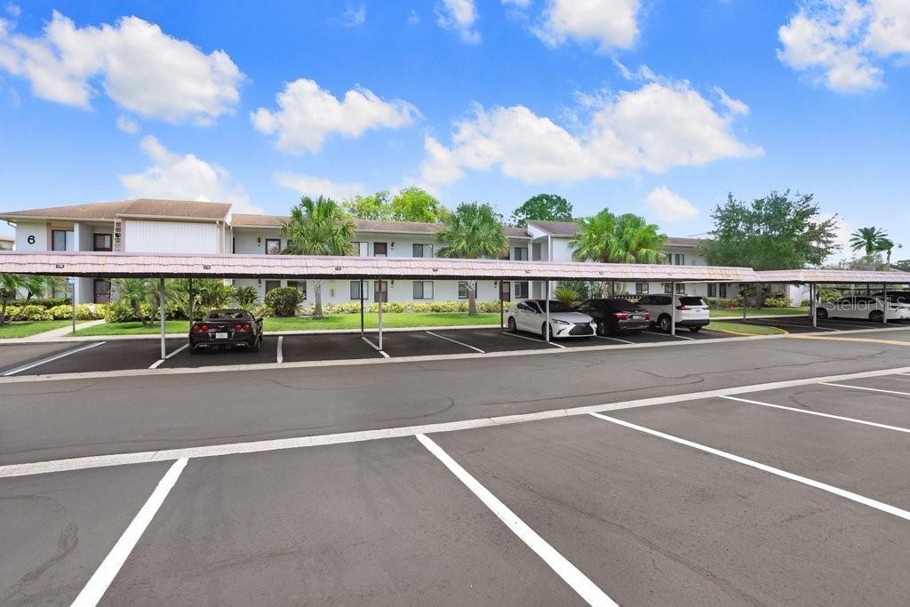 EAST LAKE WOODLANDS CONDO - Residential