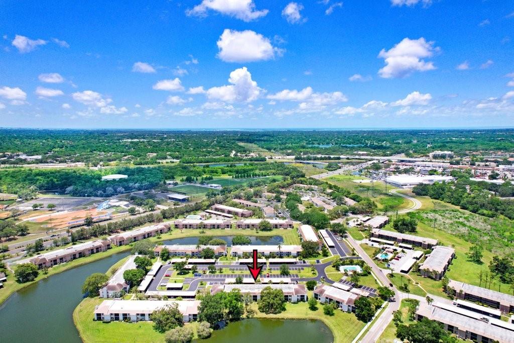 EAST LAKE WOODLANDS CONDO - Residential