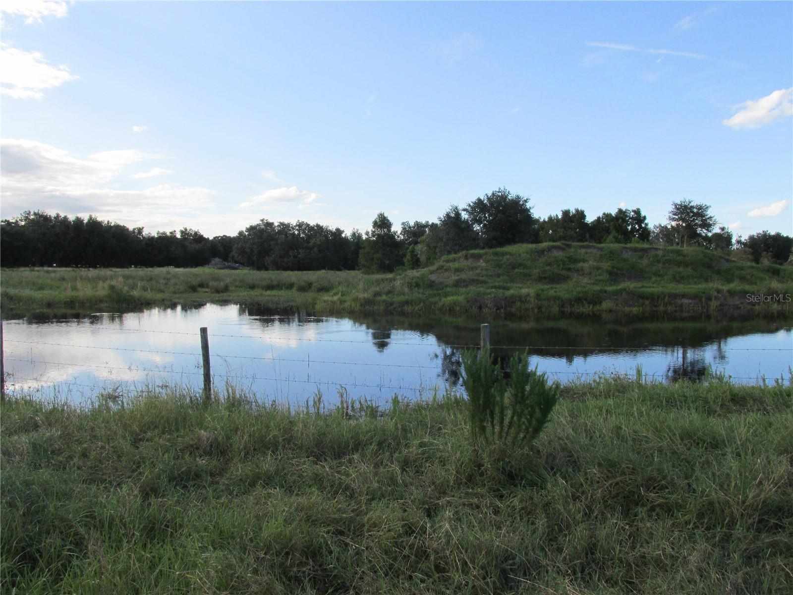 MYAKKA CITY AREA - Residential