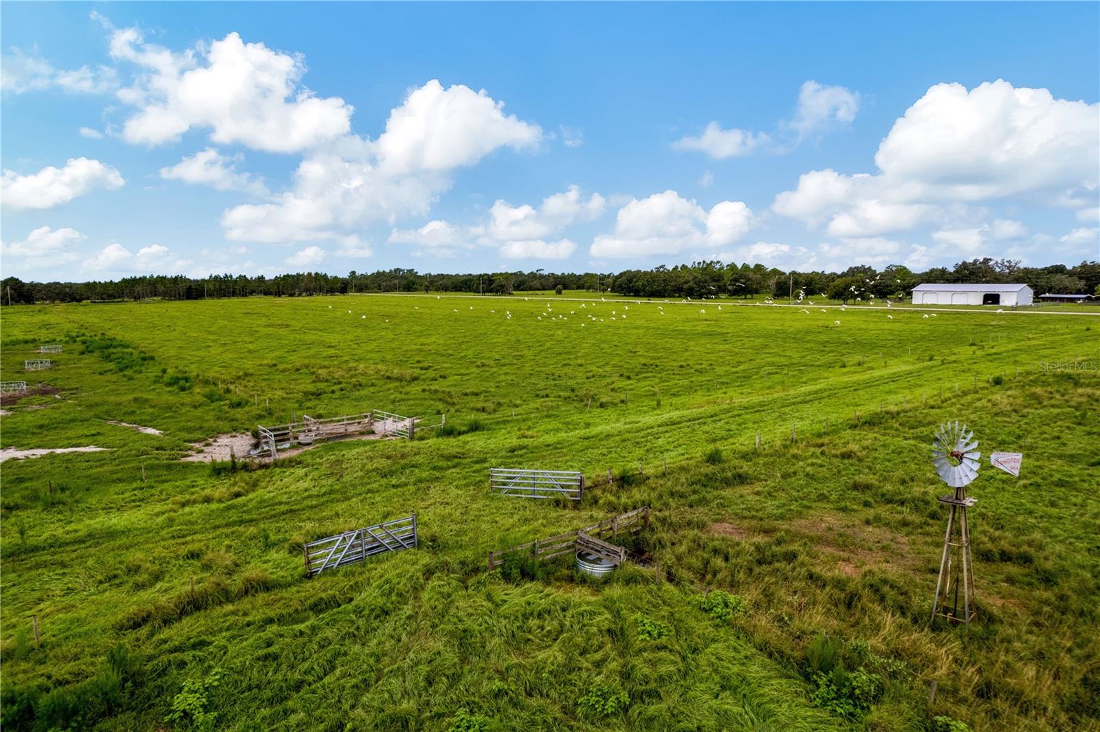 MYAKKA CITY AREA - Residential