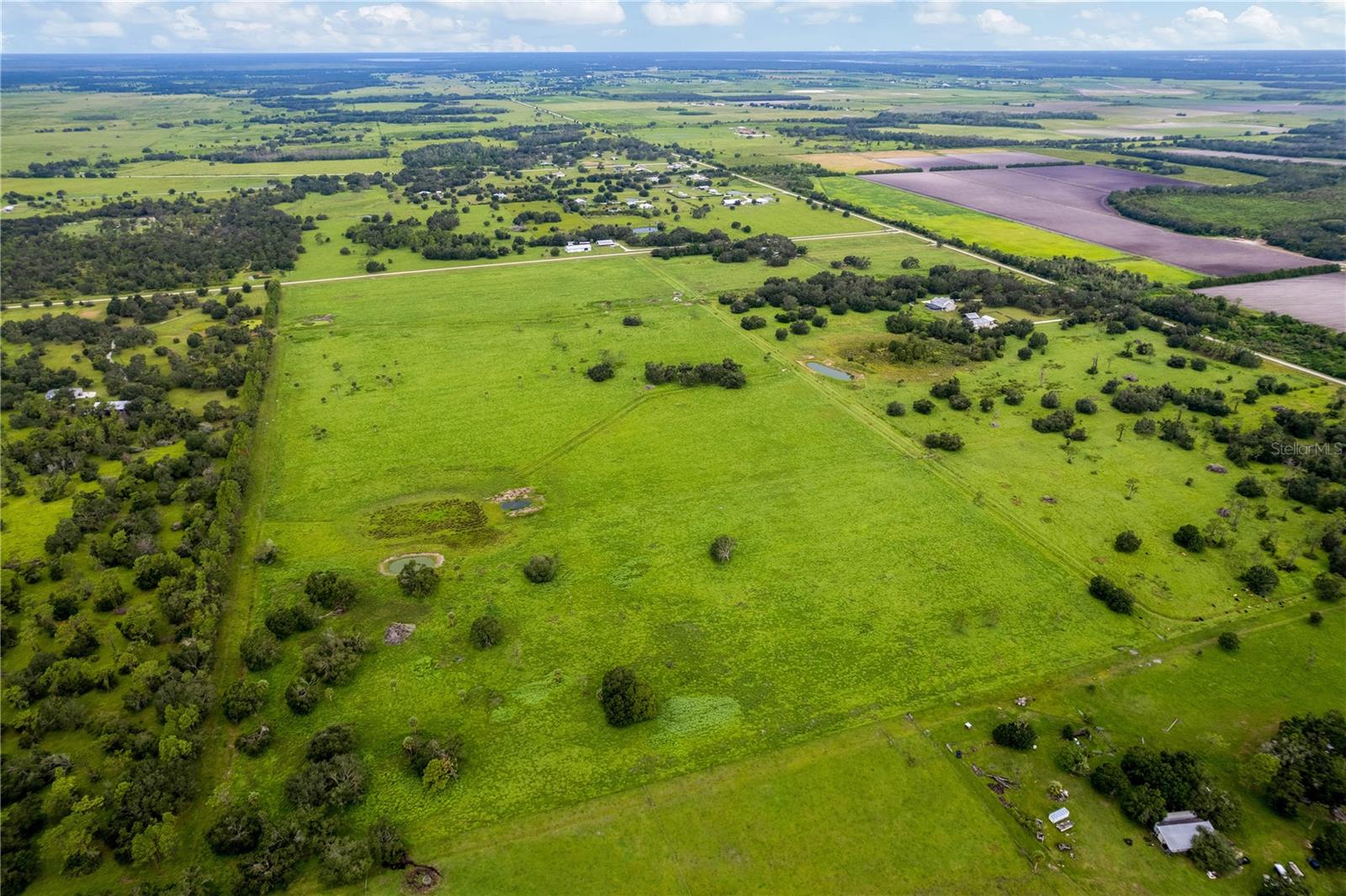 MYAKKA CITY AREA - Residential