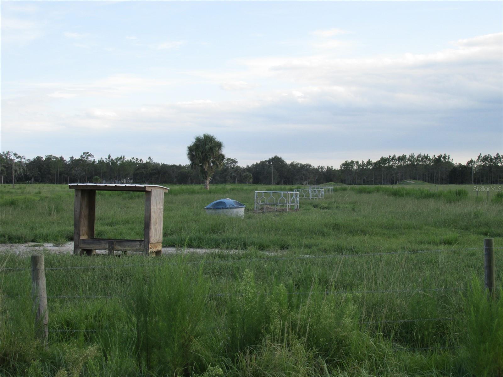 MYAKKA CITY AREA - Residential