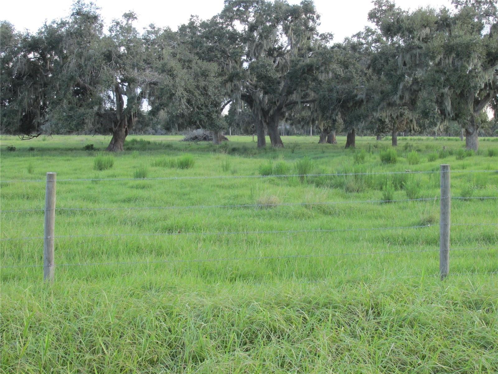 MYAKKA CITY AREA - Residential