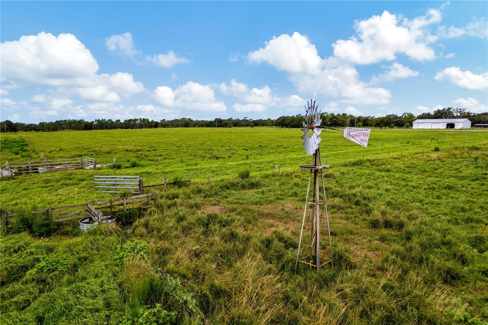 MYAKKA CITY AREA - Residential
