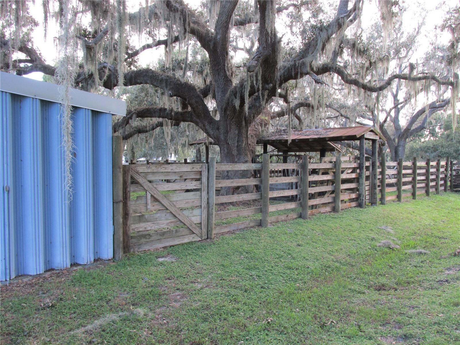 MYAKKA CITY AREA - Residential