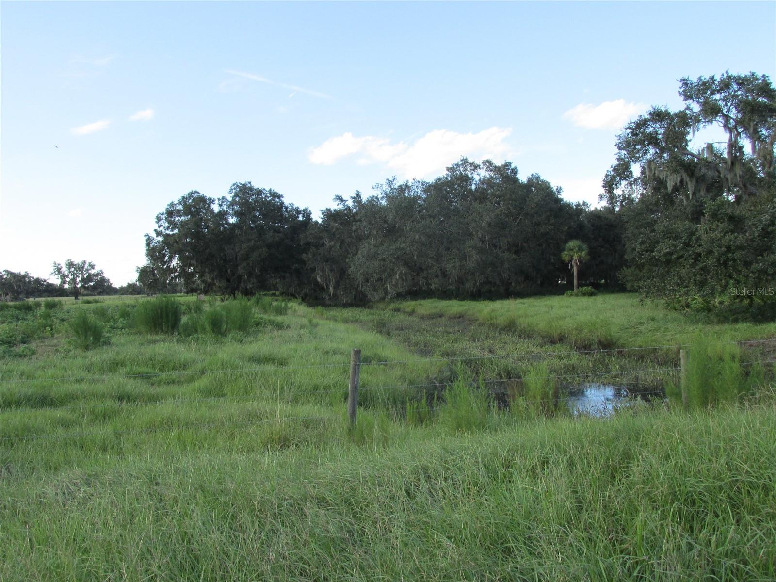 MYAKKA CITY AREA - Residential