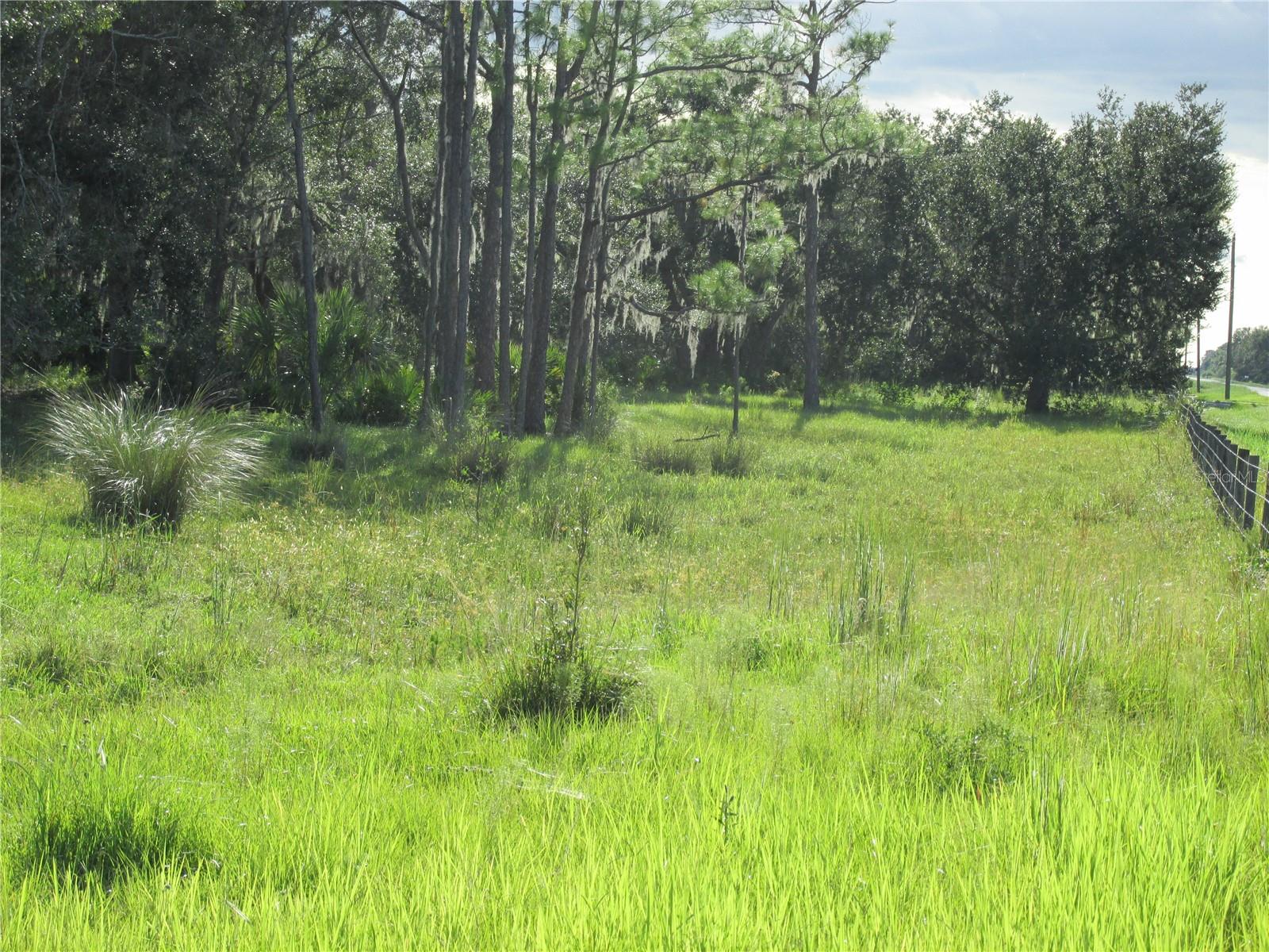 MYAKKA CITY AREA - Residential