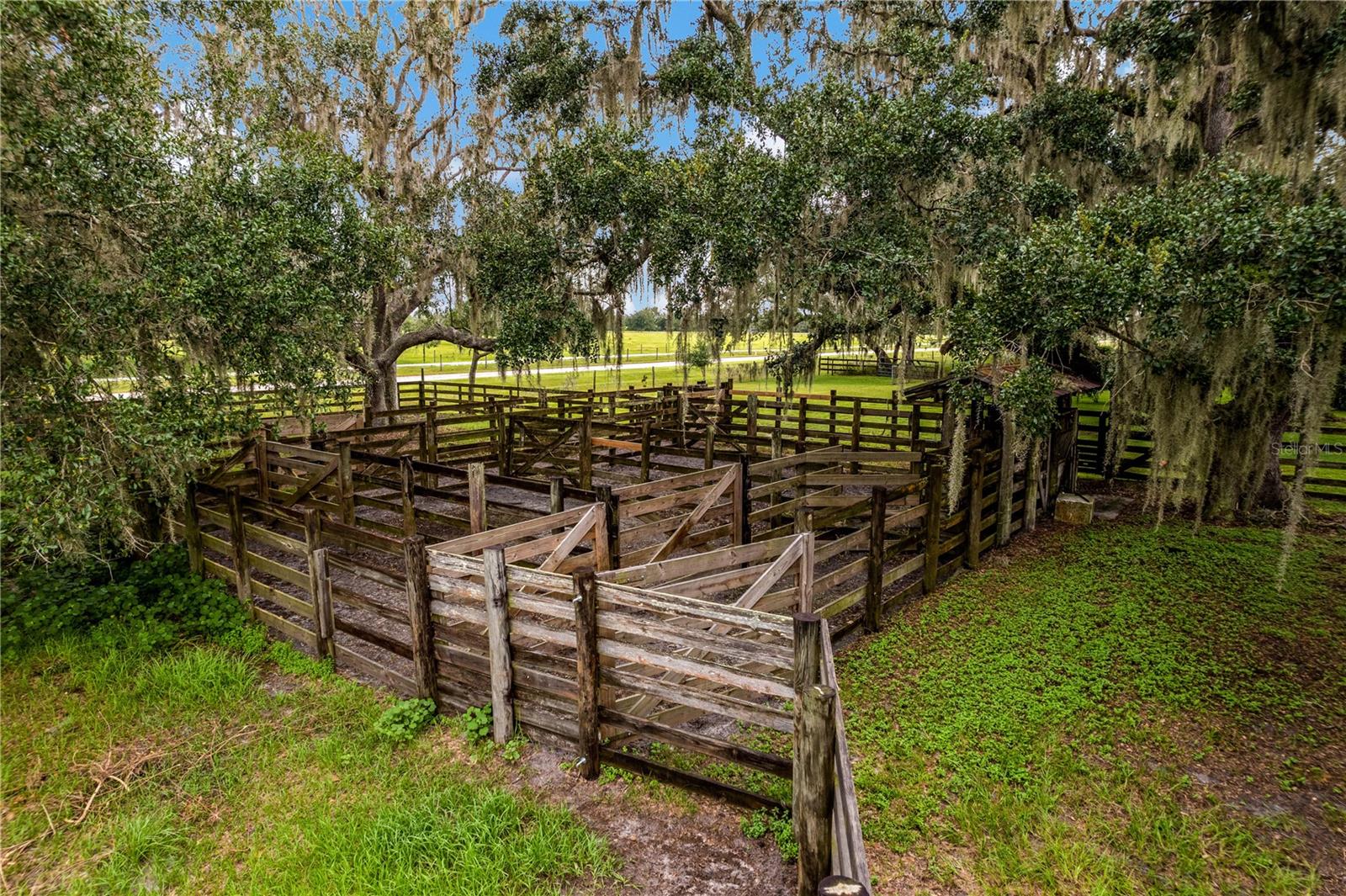 MYAKKA CITY AREA - Residential