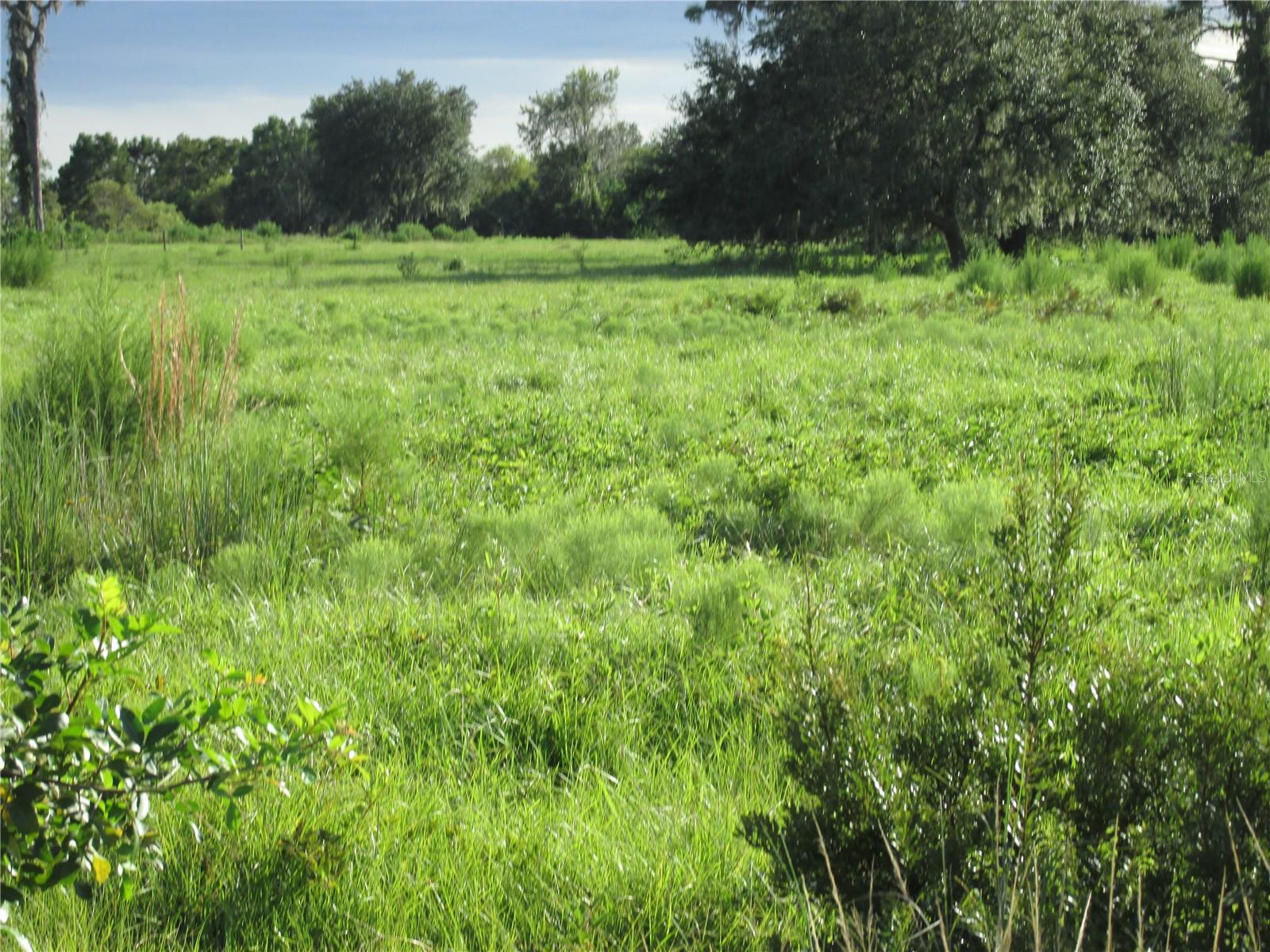 MYAKKA CITY AREA - Residential