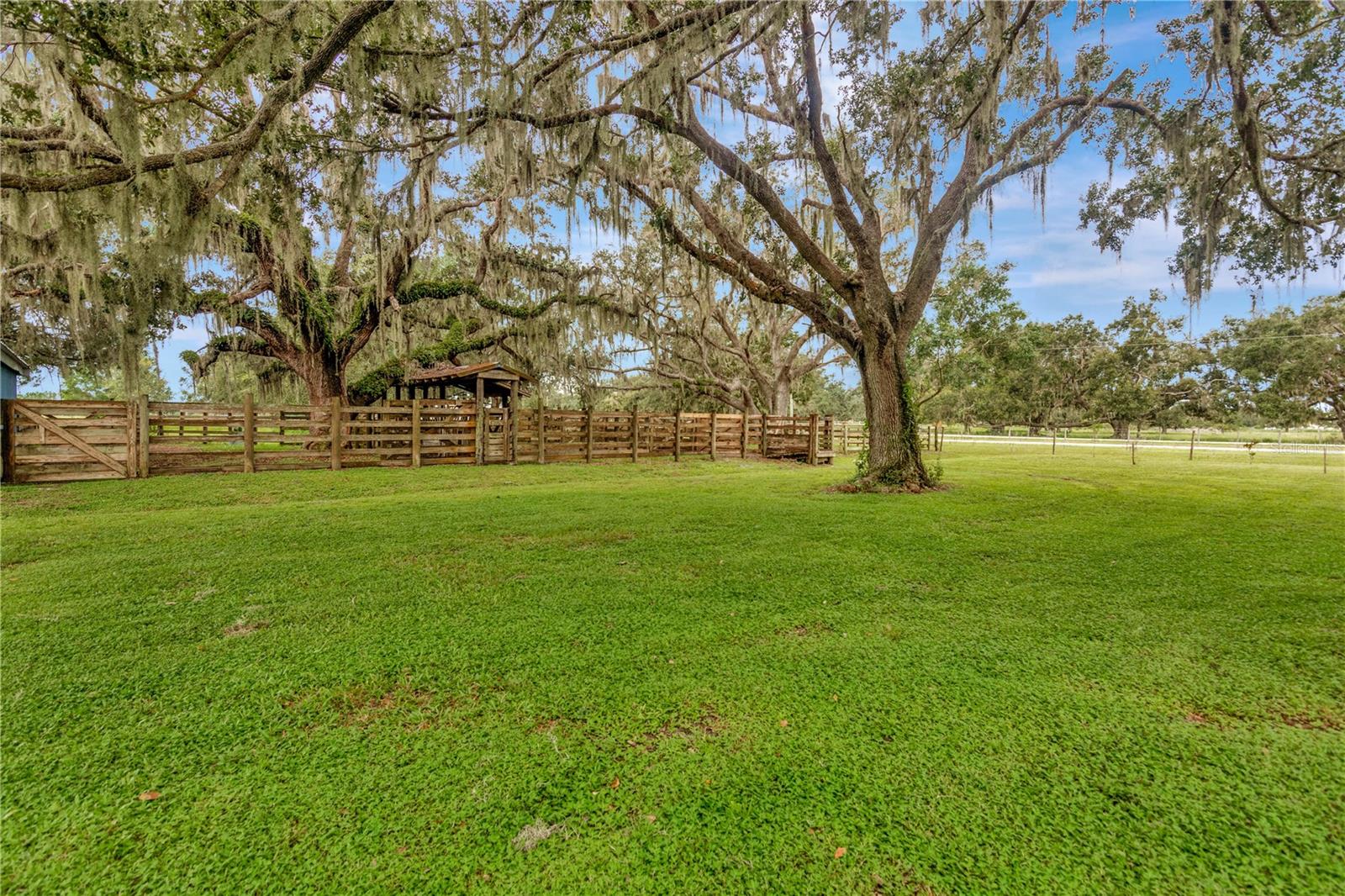 MYAKKA CITY AREA - Residential