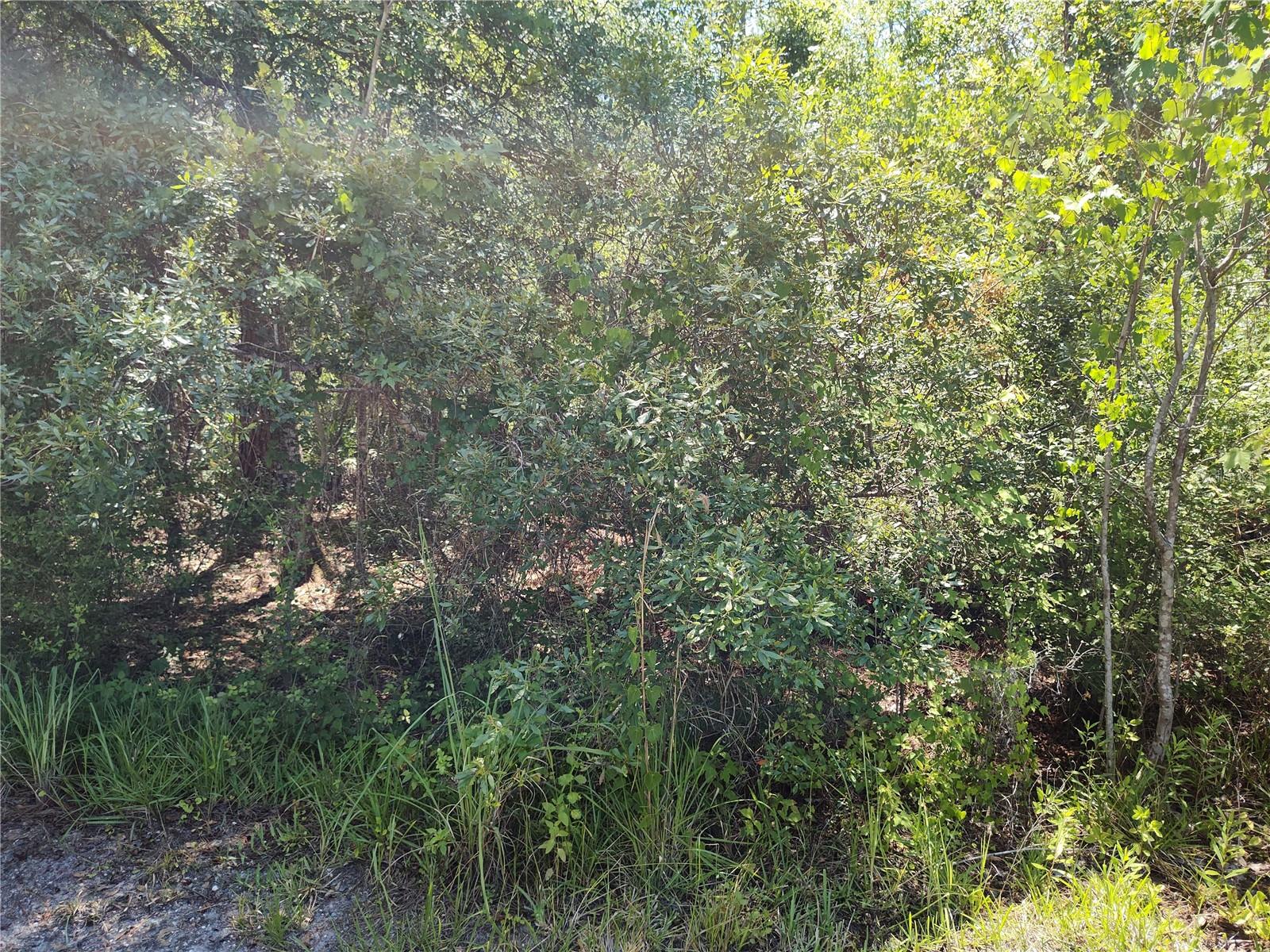 BLACK SINK CAMPSITES - Land