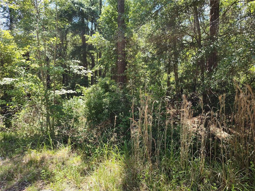 Excellent homesite, this sale includes both lots, side by side for a total of .42 acres. Located in a quiet neighborhood, yet a quick trip to Ocala and all that it has to offer. County zoning allows homes and/or mobile homes. Lots are all natural, so you can develop them as you desire.