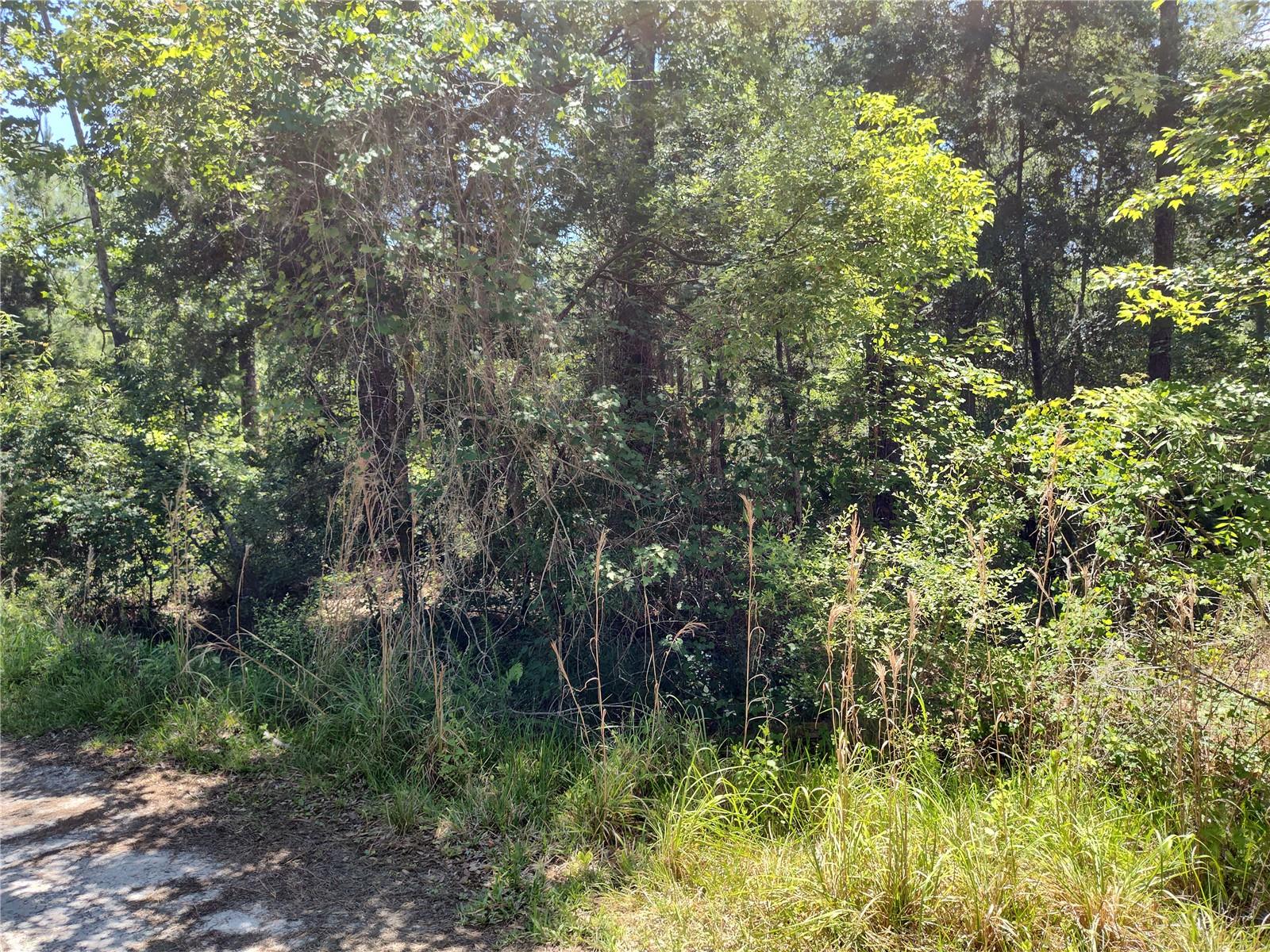 BLACK SINK CAMPSITES - Land