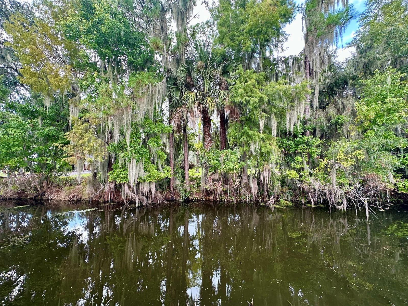 LAKE PIERCE HEIGHTS - Residential