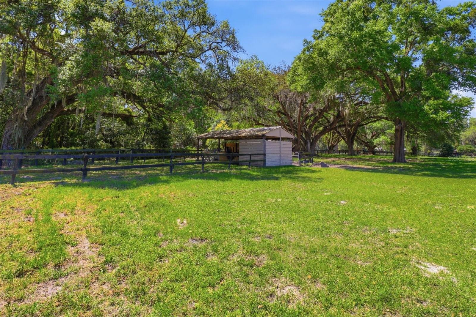 SUMMERFIELD - Residential