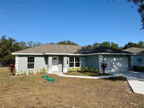 Photo of 9309 SE Highway 42, Summerfield, FL 34491 (MLS # OM716136)