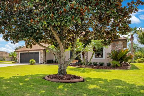 A home in MOUNT DORA