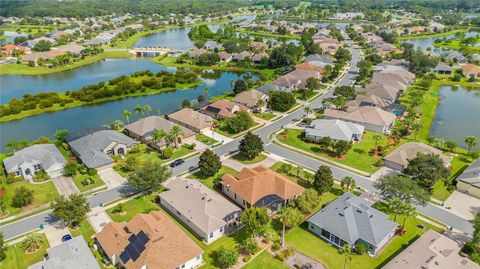 A home in MOUNT DORA