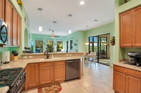 A home in MOUNT DORA