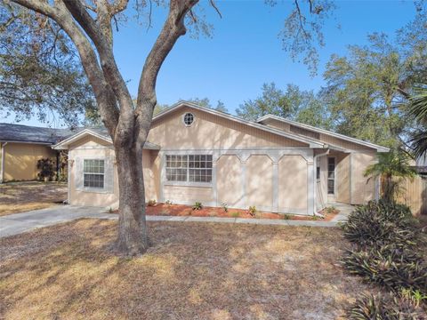 A home in TEMPLE TERRACE