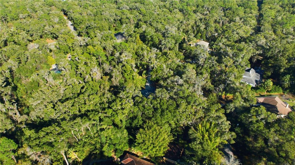 Photo of 6 SW 186th Circle, Dunnellon, FL 34432 (MLS # TB8453735)