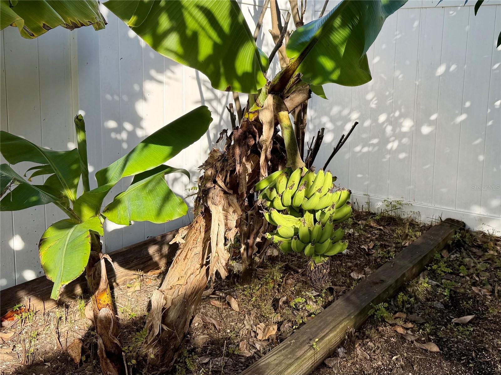 ALEXANDER RDG - Residential Lease