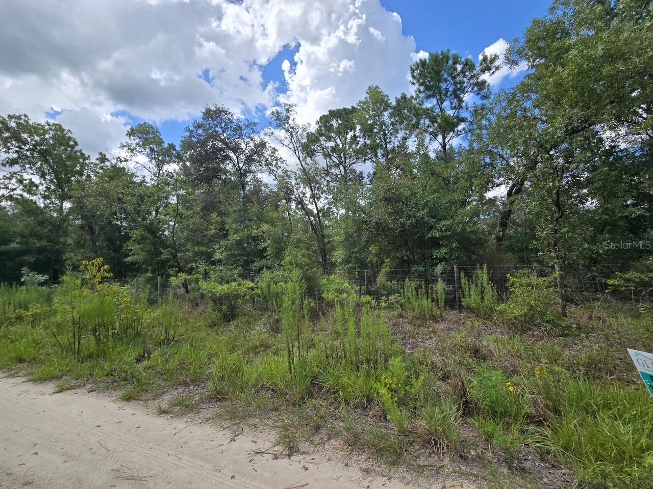 One-acre lot in Bronson, an easy commute to Gainesville, UF, hospitals and many recreational areas. An additional one-acre corner lot is adjacent for the same price. Parcel #12251-00000