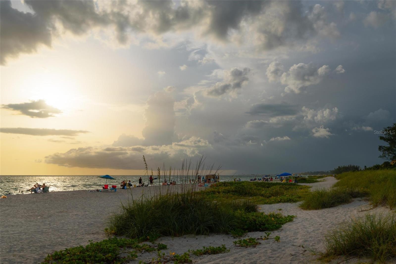 VENICE GULF VIEW SEC OF - Residential