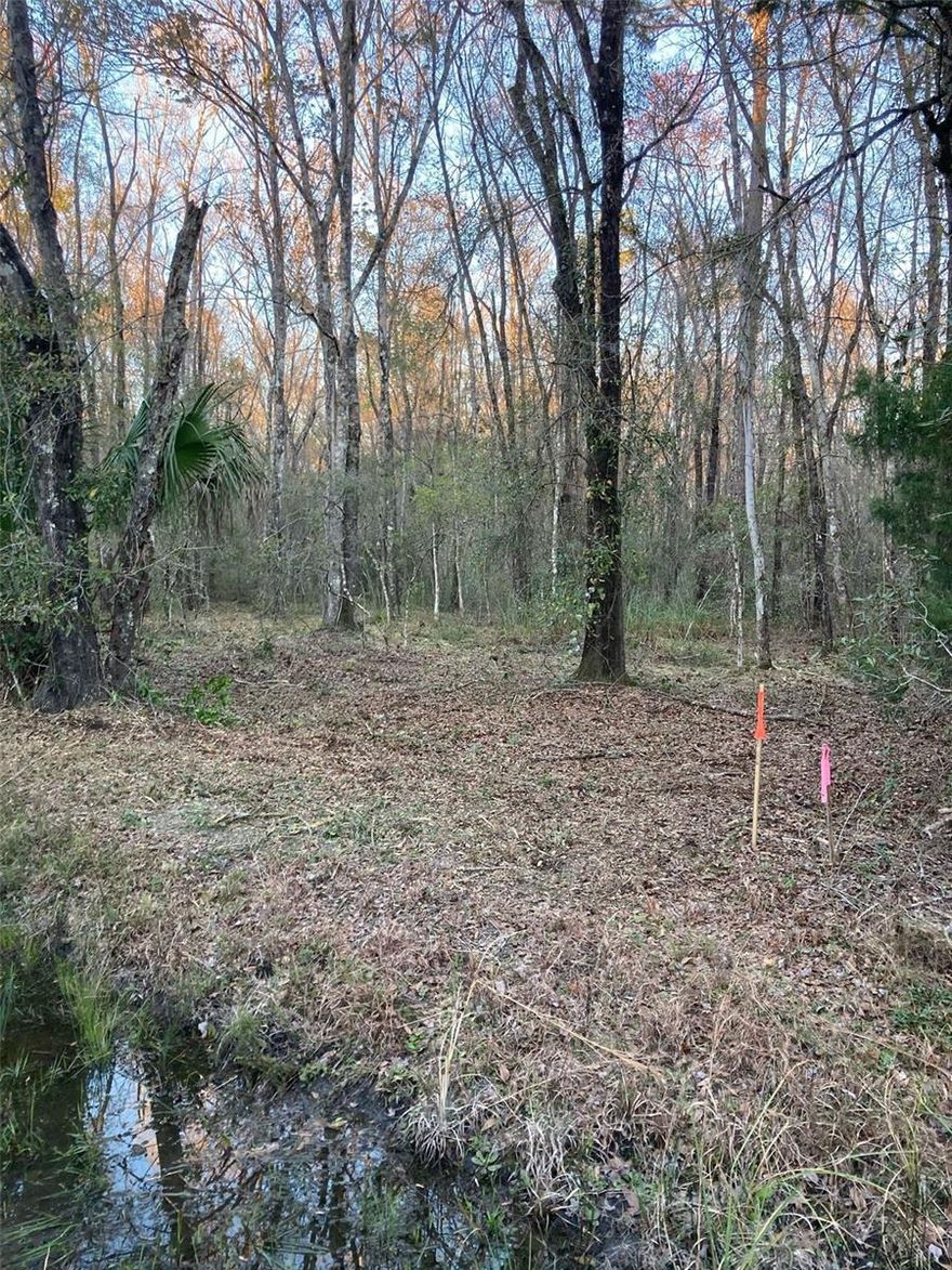 VACANT UNCLEARED 1.14 VACANT LOT IN FLAGLER ESTATES READY FOR YOU.

Flagler Estates is a residential community that offers plenty of space and privacy in rural St Johns County between Palatka and St. Augustine. There are more than 6,000 acres of residential lots along an easy-to-navigate grid of streets shaded by mature trees. Residents enjoy tranquil country living and seclusion near the St. Johns River. It has probably the lowest price point in the county with bigger lots that are at least an acre and sometimes 2 or 3 acres.
New homes still occupy lots of an acre or more
New construction includes lower-priced manufactured homes, but most of the residential additions in recent years have come in the form of contemporary single-family homes that feature paved driveways and attached garages. It’s gone from just mobile homes to a place with the possibility of growing wealth and ownership. New homes are built on the same large lots, so regardless of home style, ample yard space is standard. Prices typically range from around $200,000 to more than $400,000. The occasional multi-acreage home offers room for amenities such as horse stables. The community began with dirt roads, but most have been paved in recent years to improve the infrastructure for a growing population.