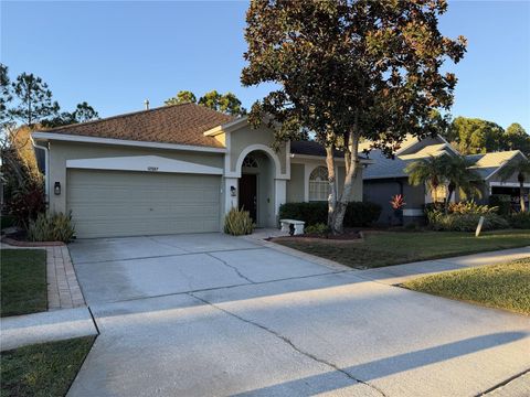 12507 BLAZING STAR DRIVE TAMPA FL 33626