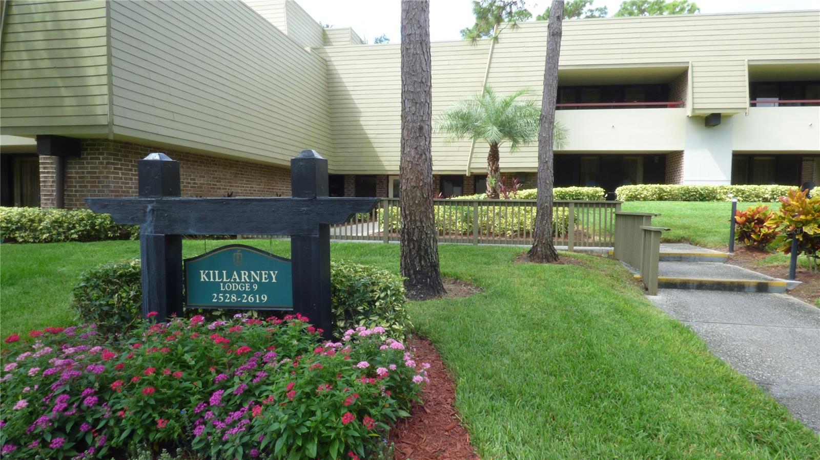 Executive Suite “A1” Unit – The perfect vacation - get-away - condo- that even includes a "Hyundai Elantra compact car if you want it" that doesn't affect the asking price. This adorable condominium has everything you need to be comfortable. A full kitchen, with large refrigerator and stove and large breakfast bar. Enjoy entertaining & relaxing on a large balcony in the heart of the Resort. The Murphy bed is perfect to give you extra space and privacy. There is a queen size sleeper sofa for additional sleeping spaces for visiting family/friends. So much closet and storage space for a studio. Near the Lochness pool with easy access to the Lochness Bar & Grille, Osprey Clubhouse and Market Salamander Grille with outdoor firepits and weekend entertainment. Easy walk to the Osprey main practice range. Top floor of two-story of Killarney lodge. It's everything you can ask for.
Several levels of club memberships are available for purchase to participate in the Innisbrook amenities. Innisbrook condo owners have the option to participate in the Resort’s optional Rental Pool program (condos in lodges 1-24 only).
Situated on 800 wooded acres of rolling hills and 70 acres of lakes, Innisbrook, A Salamander Golf and Spa Resort is located just 25 minutes from Tampa International Airport. Innisbrook features sixty-three holes of golf, including the PGA’s Valspar Championship Copperhead course, 280spacious guest suites and rooms, 5 restaurants and 3 bars including the FAIRWAYS COFFEE AND WINE BAR featuring STARBUCKS coffee, 10 Har-Tru TENNIS courts, 4 Hard-court PICKLEBALL Courts, 3 Indoor RACQUETBALL courts, a full-service Salamander SPA with 12 treatment rooms and Fitness Center, 6 Swimming POOL Complexes, and 2 Conference halls.
