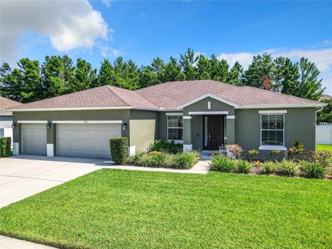 A home in DELTONA